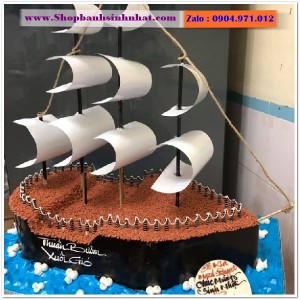 Bánh Sinh Nhật Máy Bay - MA08